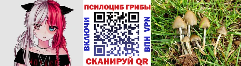 Псилоцибиновые грибы Psilocybine cubensis  цена наркотик  Безенчук 