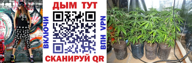 МАРИХУАНА VHQ продажа наркотиков блэк спрут ССЫЛКА Безенчук